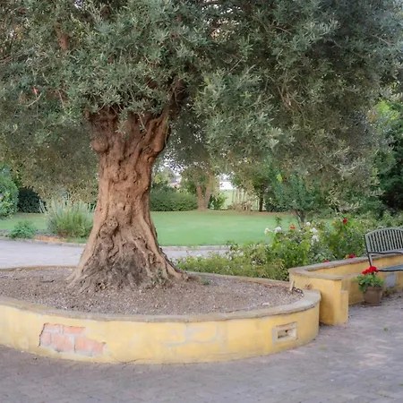 Homestay szállás Nel - Luminosa Con Bagno Privato, Vicino Bologna