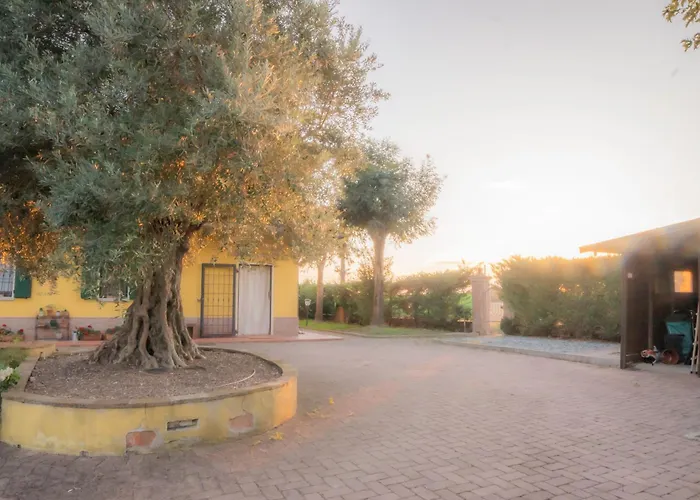 Nel - Luminosa Con Bagno Privato, Vicino Bologna Проживание в семье *