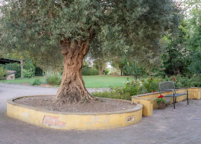 Проживание в семье Nel - Luminosa Con Bagno Privato, Vicino Bologna